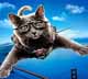 Como c�es e gatos 2 - A vingan�a de Kitty Galore